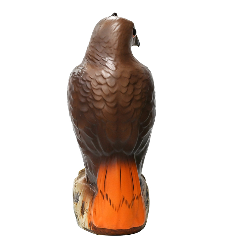 Blow Molded Eagle-model